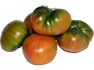 TOMATE RAF